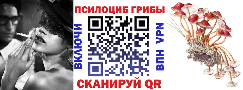 Галлюциногенные грибы Psilocybine cubensis  Купить  Старый Оскол 